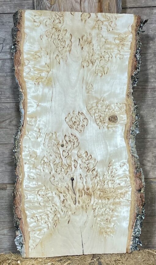 Bräda i masurbjörk, okantad, hyvlad, 460x210x35 - Bild 2