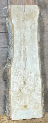 Bräda masurbjörk, okantad, hyvlad, 600x130x90 mm