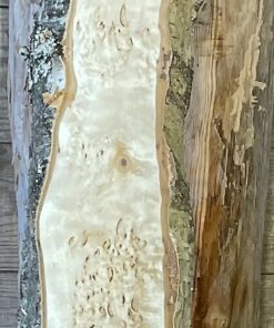 Alternative view of Bräda masurbjörk, okantad, hyvlad, 530x90x65 mm
