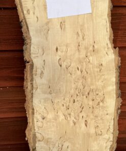 Bräda masurbjörk, okantad, hyvlad, 550x170x40 mm