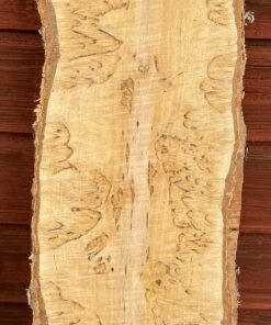 Halvstock masurbjörk 690x130x50 mm