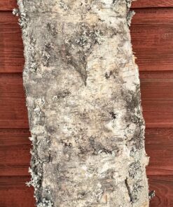 Alternative view of Halvstock masurbjörk 690x130x50 mm